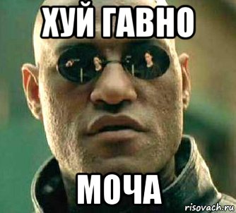 хуй гавно моча