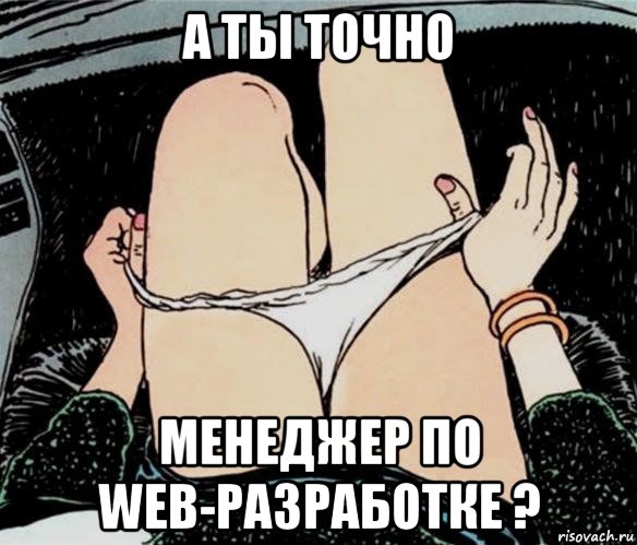 а ты точно менеджер по web-разработке ?, Мем А ты точно