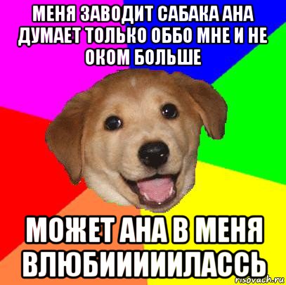 меня заводит сабака ана думает только оббо мне и не оком больше может ана в меня влюбииииилассь, Мем Advice Dog