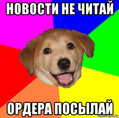 новости не читай ордера посылай, Мем Advice Dog