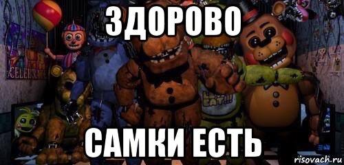 здорово самки есть