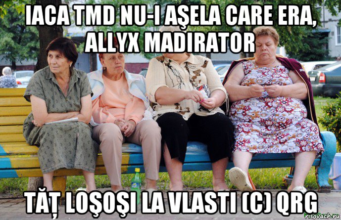 iaca tmd nu-i aşela care era, allyx madirator tăţ loşoşi la vlasti (c) qrg, Мем Бабушки на скамейке