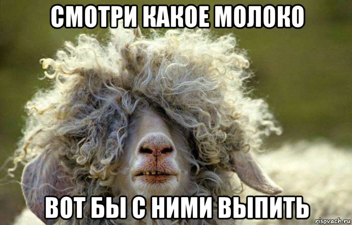 смотри какое молоко вот бы с ними выпить