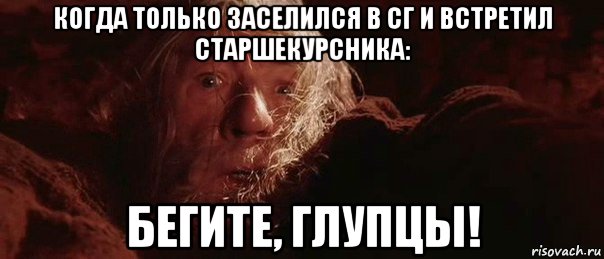 когда только заселился в сг и встретил старшекурсника: бегите, глупцы!, Мем бегите глупцы