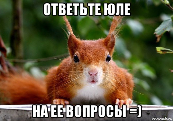 ответьте юле на ее вопросы =)