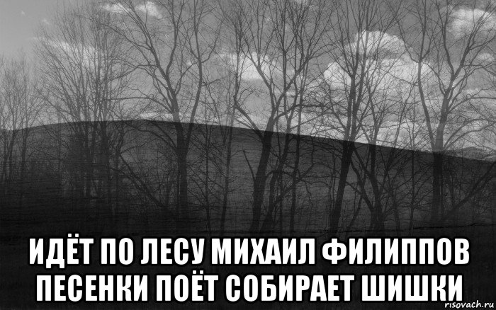  идёт по лесу михаил филиппов песенки поёт собирает шишки, Мем безысходность лес