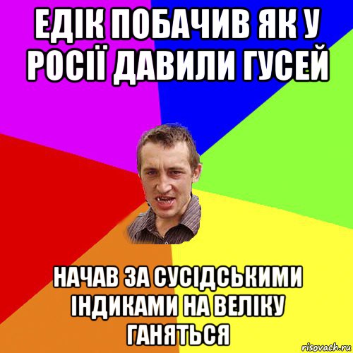 едік побачив як у росії давили гусей начав за сусідськими індиками на веліку ганяться, Мем Чоткий паца