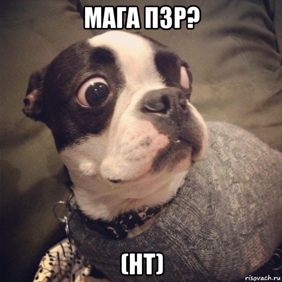 мага пзр? (нт), Мем Цивильный Дагестан