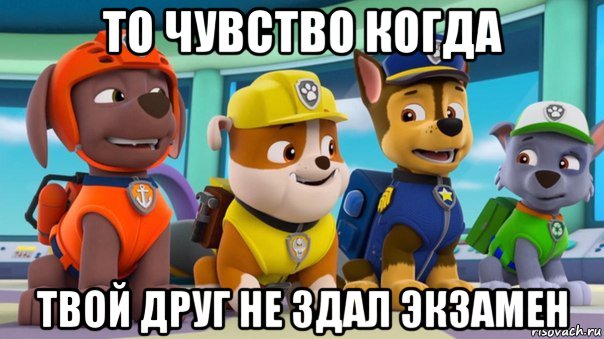 то чувство когда твой друг не здал экзамен