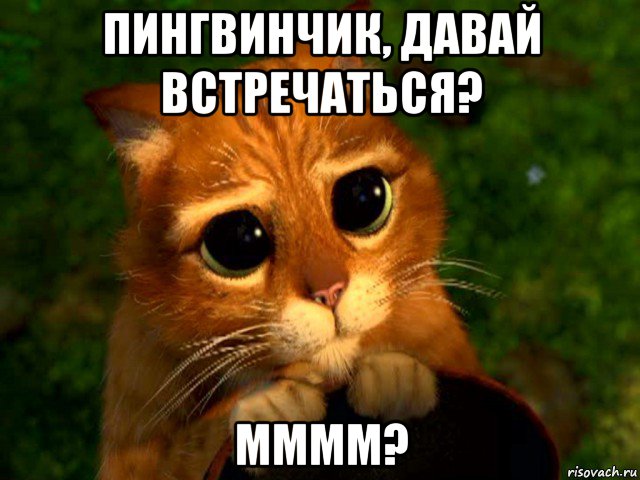 пингвинчик, давай встречаться? мммм?