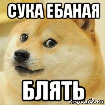сука ебаная блять