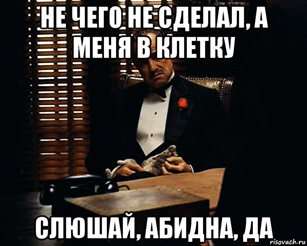 не чего не сделал, а меня в клетку слюшай, абидна, да