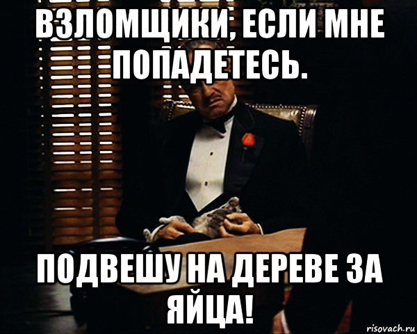 взломщики, если мне попадетесь. подвешу на дереве за яйца!, Мем Дон Вито Корлеоне