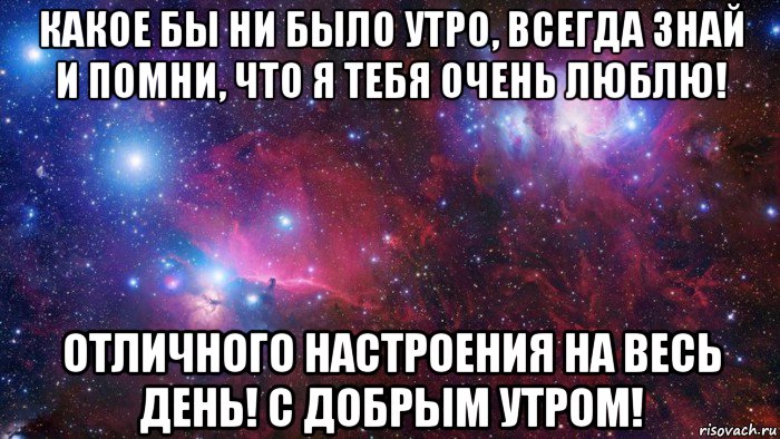 какое бы ни было утро, всегда знай и помни, что я тебя очень люблю! отличного настроения на весь день! с добрым утром!