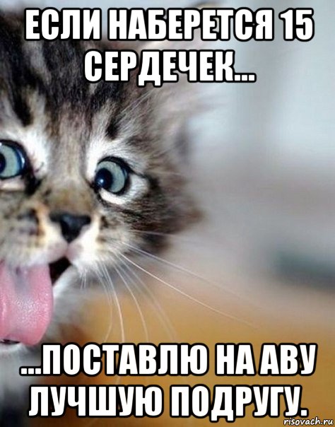 если наберется 15 сердечек... ...поставлю на аву лучшую подругу.