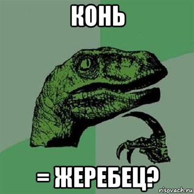 конь = жеребец?, Мем Филосораптор