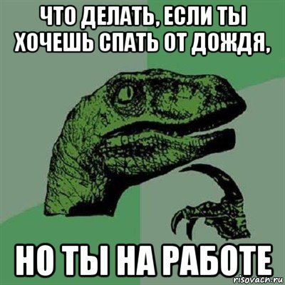 что делать, если ты хочешь спать от дождя, но ты на работе, Мем Филосораптор