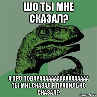 шо ты мне сказал? а про поварааааааааааааааааа ты мне сказал я правильно сказал?, Мем Филосораптор