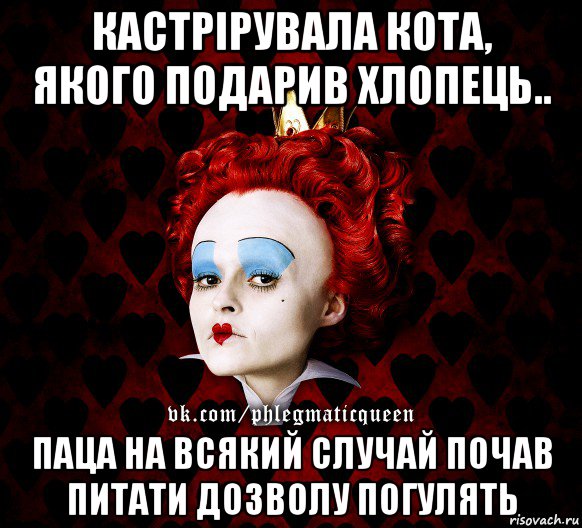 кастрірувала кота, якого подарив хлопець.. паца на всякий случай почав питати дозволу погулять, Мем ФлегматичнА КоролевА ФаК