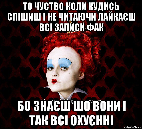 то чуство коли кудись спішиш і не читаючи лайкаєш всі записи фак бо знаєш шо вони і так всі охуєнні, Мем ФлегматичнА КоролевА ФаК