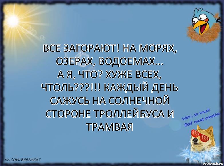 Все загорают! На морях, озерах, водоемах...
А я, что? Хуже всех, чтоль???!!! Каждый день сажусь на солнечной стороне троллейбуса и трамвая