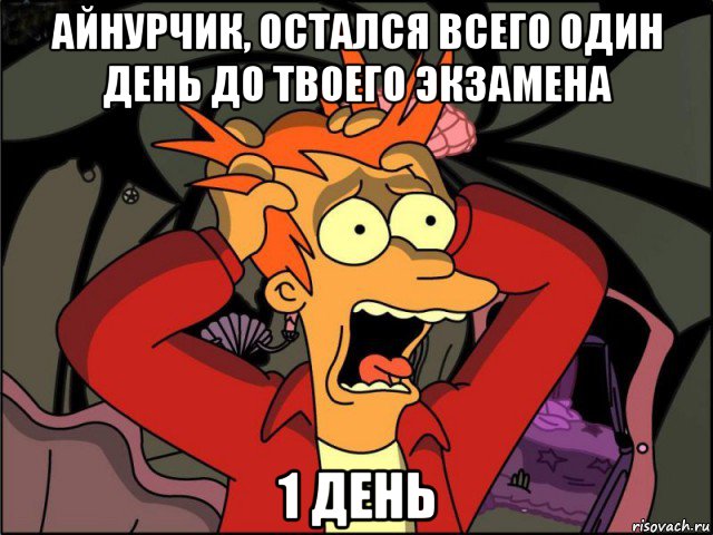 айнурчик, остался всего один день до твоего экзамена 1 день, Мем Фрай в панике