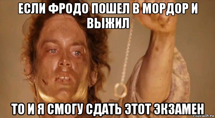 если фродо пошел в мордор и выжил то и я смогу сдать этот экзамен, Мем фродо и кольцо