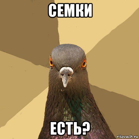 семки есть?