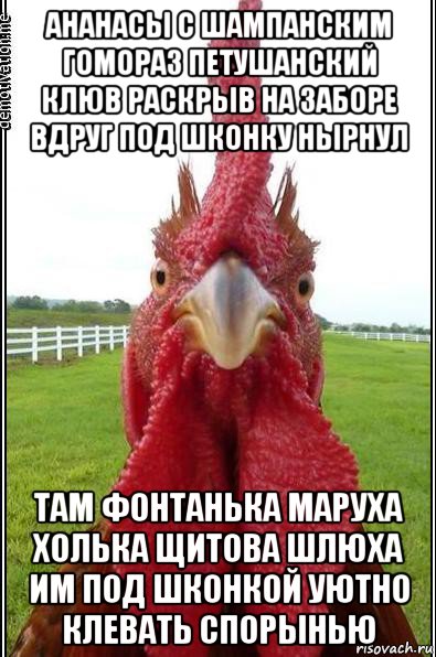 ананасы с шампанским гомораз петушанский клюв раскрыв на заборе вдруг под шконку нырнул там фонтанька маруха холька щитова шлюха им под шконкой уютно клевать спорынью