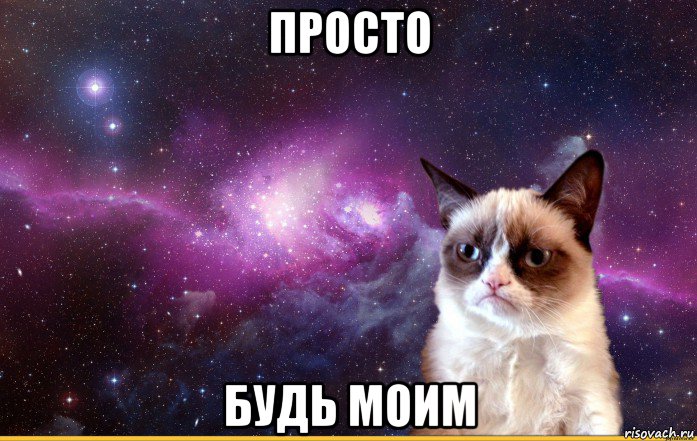 просто будь моим, Мем grumpy cat космос