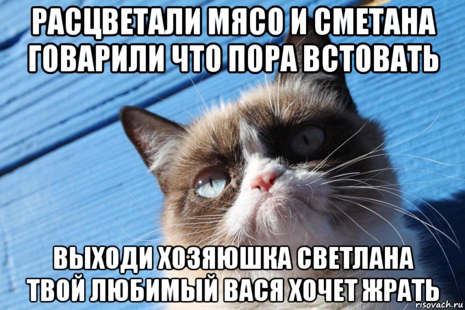 расцветали мясо и сметана говарили что пора встовать выходи хозяюшка светлана твой любимый вася хочет жрать, Мем  grumpy cat