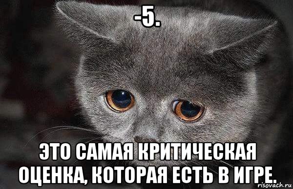 -5. это самая критическая оценка, которая есть в игре., Мем  Грустный кот