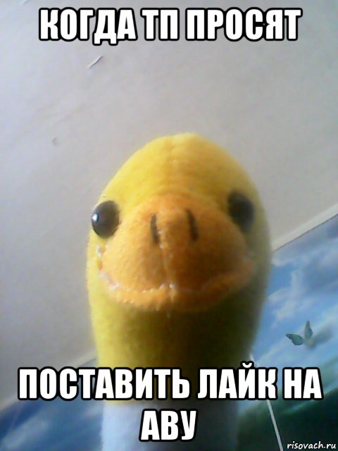 когда тп просят поставить лайк на аву