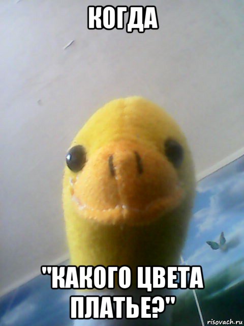 когда "какого цвета платье?"