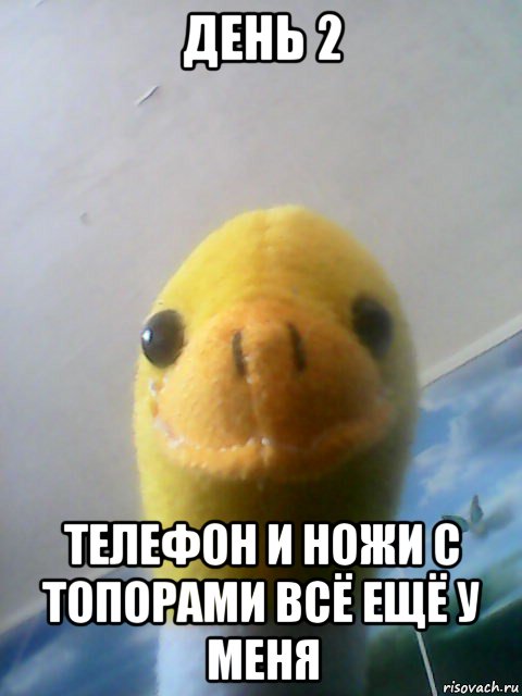 день 2 телефон и ножи с топорами всё ещё у меня
