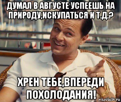 думал в августе успеешь на природу,искупаться и т.д.? хрен тебе,впереди похолодания!, Мем Хитрый Гэтсби