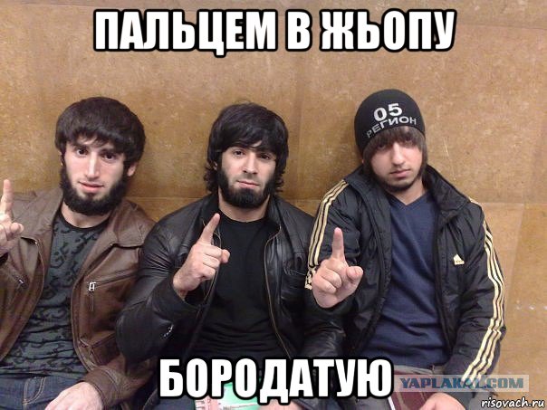 пальцем в жьопу бородатую
