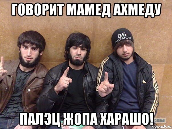 говорит мамед ахмеду палэц жопа харашо!