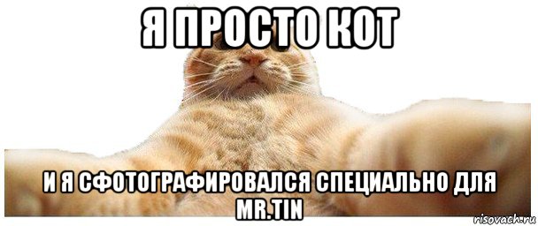 я просто кот и я сфотографировался специально для mr.tin, Мем   Кэтсвилл