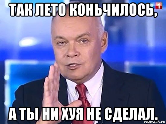 так лето коньчилось, а ты ни хуя не сделал., Мем Киселёв 2014