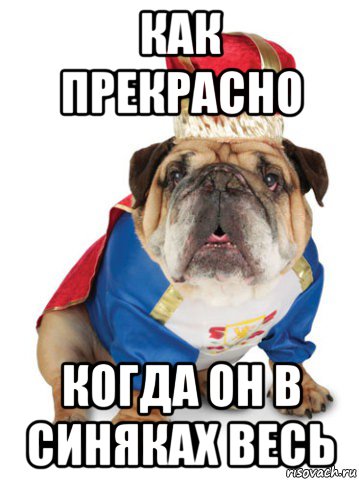 как прекрасно когда он в синяках весь