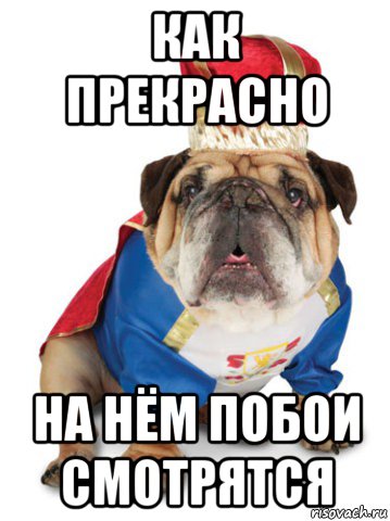 как прекрасно на нём побои смотрятся