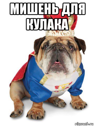 мишень для кулака 