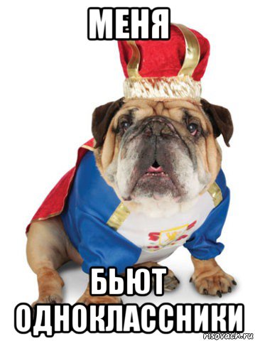 меня бьют одноклассники