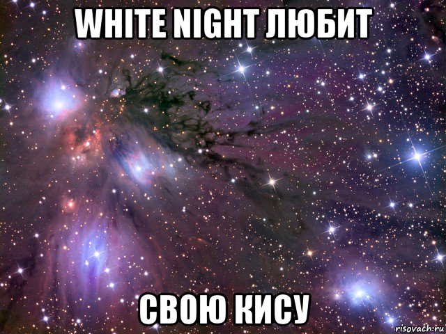 white night любит свою кису, Мем Космос