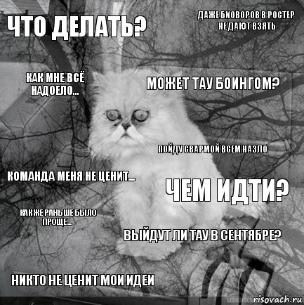 Что делать? Чем идти? Может Тау боингом? Никто не ценит мои идеи Команда меня не ценит... Даже биоворов в ростер не дают взять Выйдут ли тау в сентябре? Как мне всё надоело... Как же раньше было проще... Пойду свармой всем назло, Комикс  кот безысходность