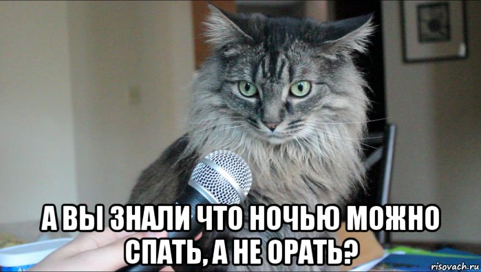  а вы знали что ночью можно спать, а не орать?