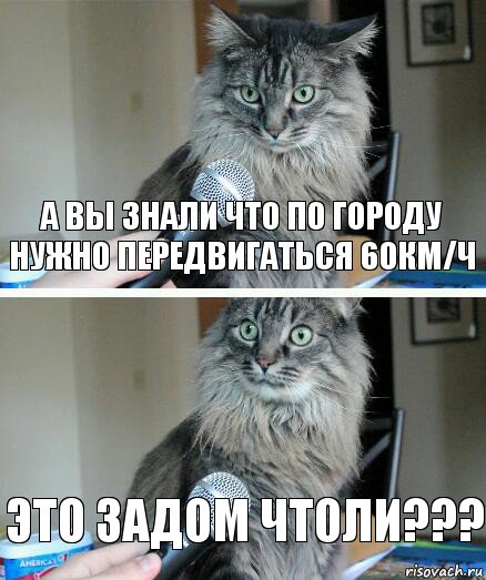 А вы знали что по городу нужно передвигаться 60км/ч Это задом чтоли???, Комикс  кот с микрофоном