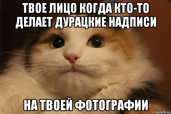 твое лицо когда кто-то делает дурацкие надписи на твоей фотографии