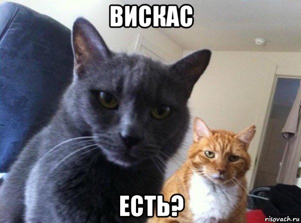 вискас есть?